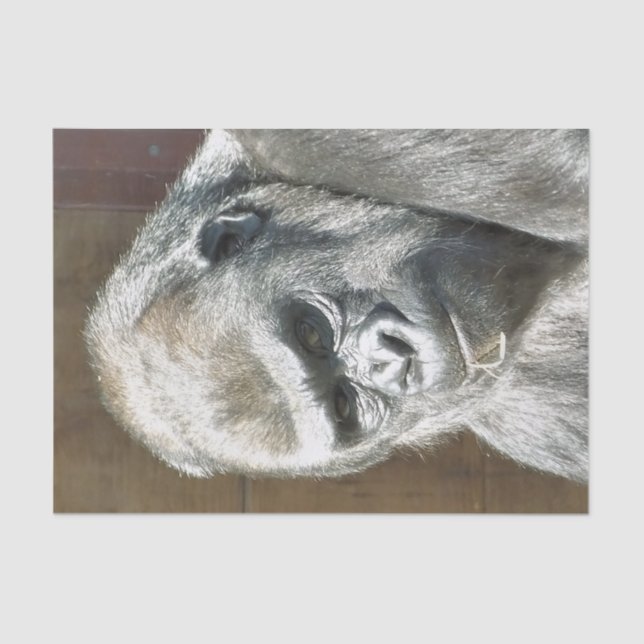 FUNNY GORILLA SEIDENPAPIER (Vorderseite)