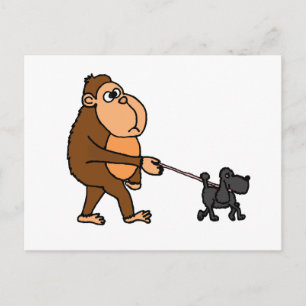 Funny Gorilla Walking Black Poodle Dog Postkarte