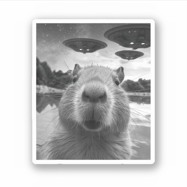 Funny Graphic Capybara Selfie mit UFOs Selfie Aufkleber (Vorderseite)