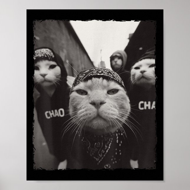 Funny Graphic Cat Gangster Funny Poster (Vorne)