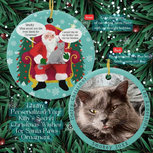 Funny Gray Cat Besucht Santa mit Unglaublich witzi Keramik Ornament (A Gray Cat tells Santa Paws she wants ? for Christmas? Add her special wishes and picture)
