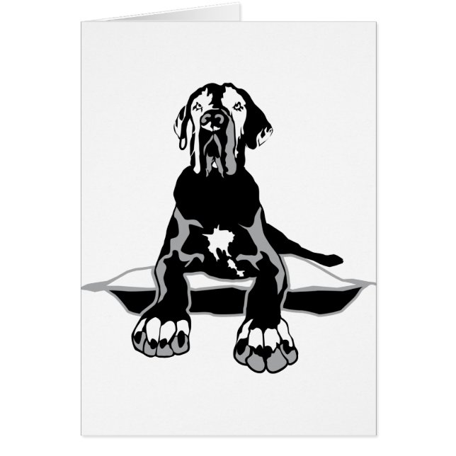 Funny Great Dane Ilios (Vorne)