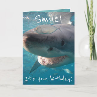 Funny Great White Shark Geburtstag Karte