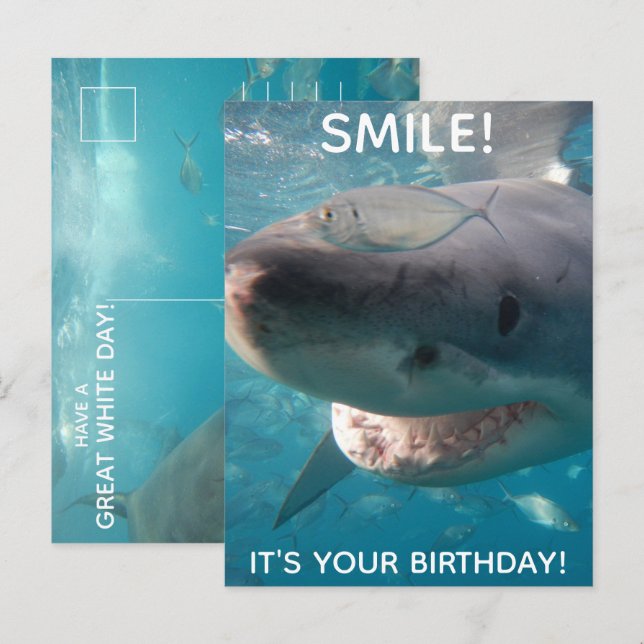 Funny Great White Shark Geburtstag Postkarte (Vorne/Hinten)