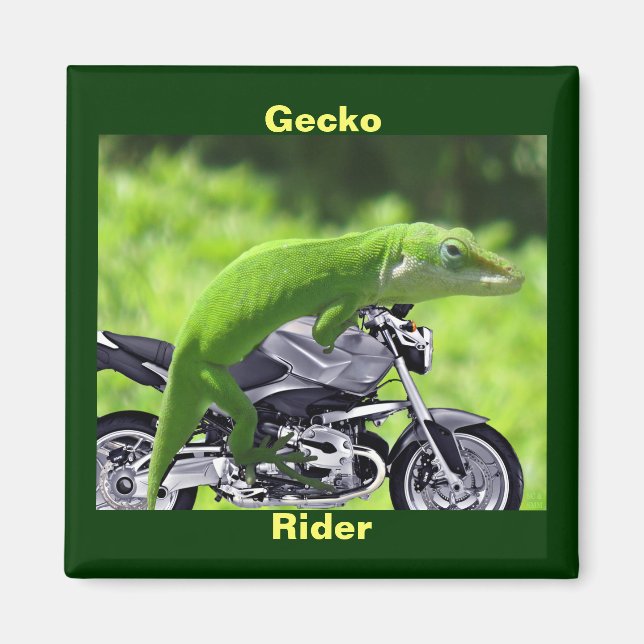 Funny Green Hawaiian Gecko Rider Magnet (Vorne)