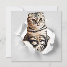 Funny Grey Cat Popping Through Torn Paper Illusion