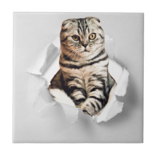 Funny Grey Cat Popping Through Torn Paper Illusion Fliese