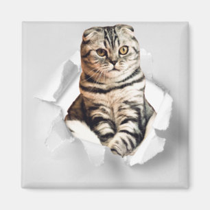Funny Grey Cat Popping Through Torn Paper Illusion Magnet