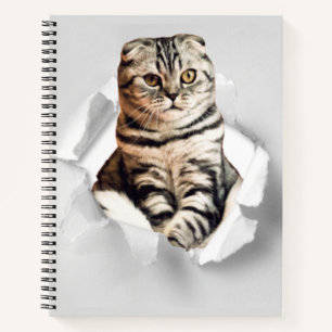 Funny Grey Cat Popping Through Torn Paper Illusion Notizbuch