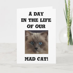 Funny Greycard Karte