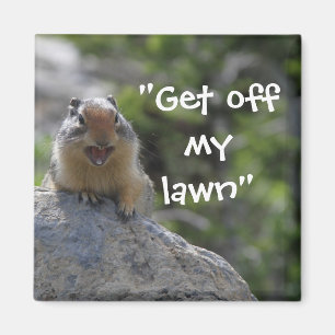 Funny Ground Squirrel Magnet
