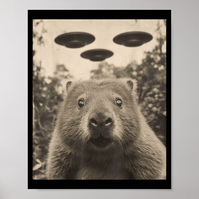 Funny Groundhog Selfie With Ufos Weird Groundhog  Poster (Vorne)