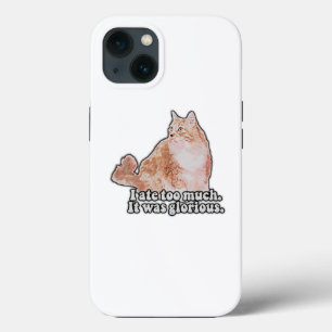 Funny grumpy cat meme für Katz- und Kitesurfer Case-Mate iPhone Hülle