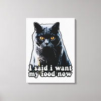 Funny grumpy cat meme für Katzenbesitzer und Liebh