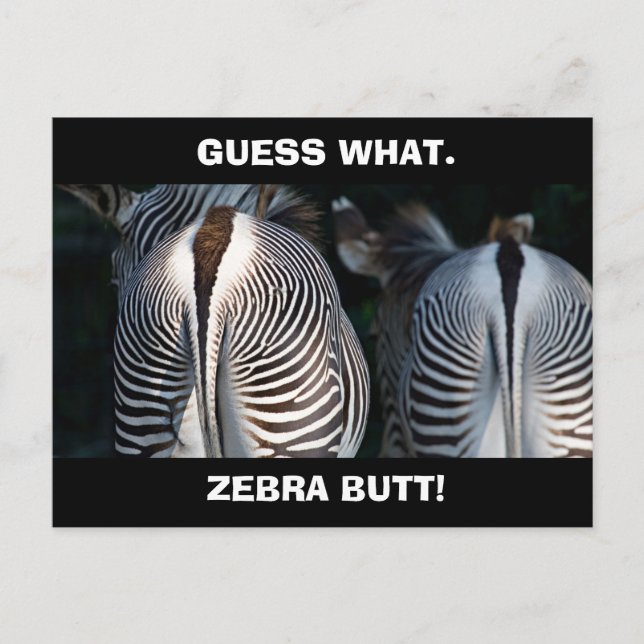 Funny Guess What Zebra Butt Wildlife Postkarte (Vorderseite)