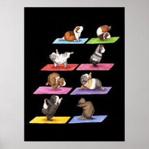 Funny Guinea Pig Yoga Poster