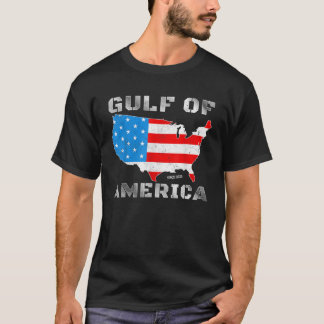 Funny Gulf of USA America 2025 Patriotic Retro Vin T-Shirt