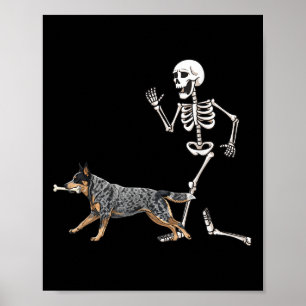 Funny Halloween Australian Cattle Dog And Skeleton Poster