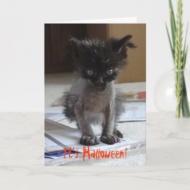 Funny Halloween Zombie Kitty Card Karte (Vorderseite)