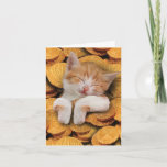 Funny Hanukkah Grußkarte - Katze im Gelt Karte<br><div class="desc">Über diesen Punkt * INSIDE GREETING: "Hoffe, dass dein Hanukka purr fect ist!" COVER - [Katzenbild mit Hanukkah Gelt] * KARTENGRÖSSE - 1, mit 12x18-Inch-Umschlag in normaler Größe erhalten. Wir bieten lustige Karten, die entweder leer oder grüßend im Inneren erscheinen, also überprüfen Sie vor dem Kauf alle Produkt-Fotos. * USE...</div>