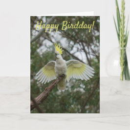 Funny Happy Bird Day Birthday Cockatoo Australien Karte
