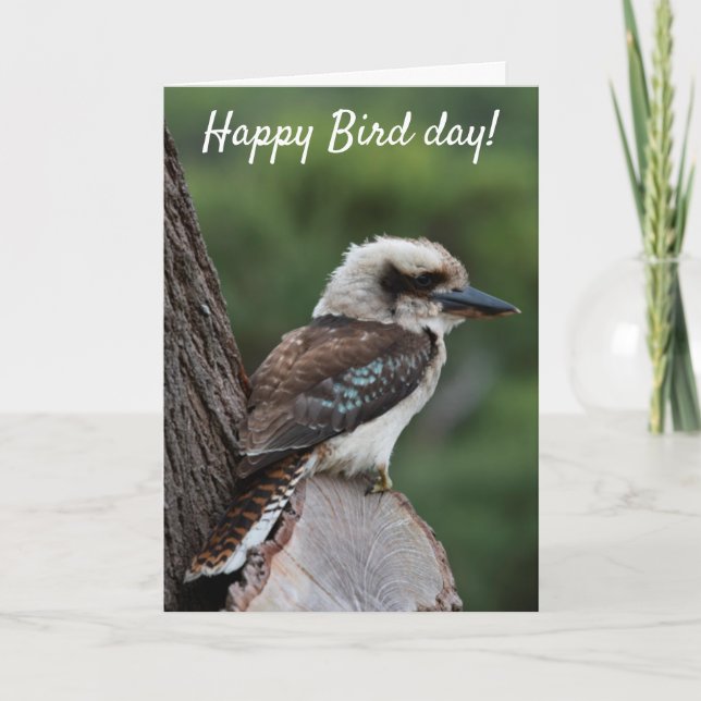 Funny Happy Bird Day Birthday Kookaburra Australie Karte (Vorderseite)