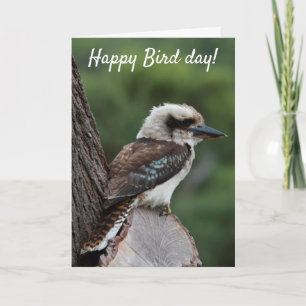 Funny Happy Bird Day Birthday Kookaburra Australie Karte