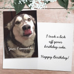 Funny Happy Birthday Alaskan Malamute Dog Karte<br><div class="desc">This greeting card cover displays a photograph of an Alaska Malamute with tongue sliding over its nose. Personalize the cover and inside sentiment for your specific occasion or remove all text to leave room for a handwritten note inside. Photo ©Patricia AZ Phillips.</div>