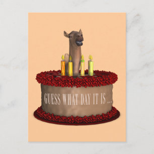 Funny Happy Birthday Camel Postkarte