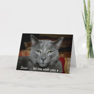 Funny Happy Birthday Card mit grauer Katze Karte
