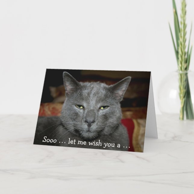Funny Happy Birthday Card mit grauer Katze Karte (Vorderseite)