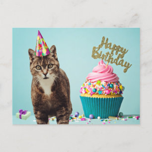 Funny Happy Birthday Cat mit Cupcake Postkarte