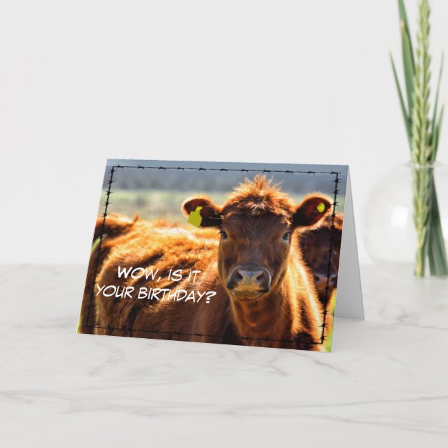 Funny Happy Birthday Country Farm Mail Farm Tales  Karte (Vorderseite)