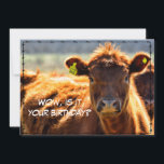 Funny Happy Birthday Country Mail Tales aus dem Ba Feiertagskarte<br><div class="desc">Wow,  ist dein Geburtstag,  wo ist der Kuchen! Karo zu meiner Gruß- und Urlaubskartenkollektion unter www.zazzle.com/basereality</div>