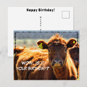 Funny Happy Birthday Country Mail Tales aus dem Ba Postkarte
