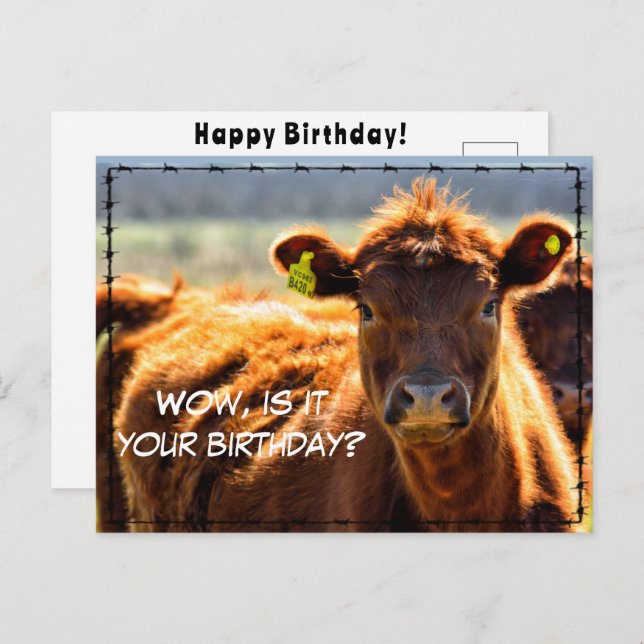 Funny Happy Birthday Country Mail Tales aus dem Ba Postkarte (Vorne/Hinten)