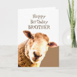 Funny Happy Birthday Ewe sind BEST BROTHER JE Karte<br><div class="desc">Funny Sheep Happy Birthday BROTHER Ewe ist die beste BROTHER je Humour Card</div>