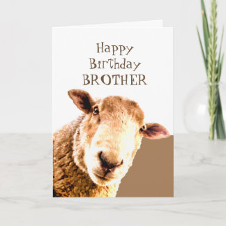 Funny Happy Birthday Ewe sind BEST BROTHER JE Karte
