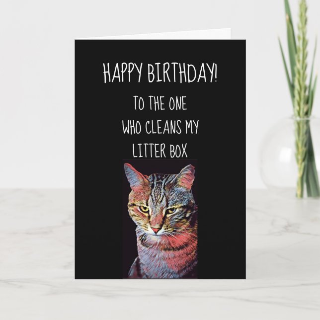 Funny Happy Birthday From Cat Card Karte (Vorderseite)