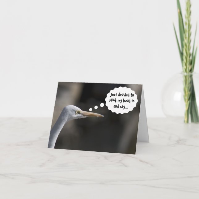 Funny Happy Birthday White Crane Bird Card Karte (Vorderseite)