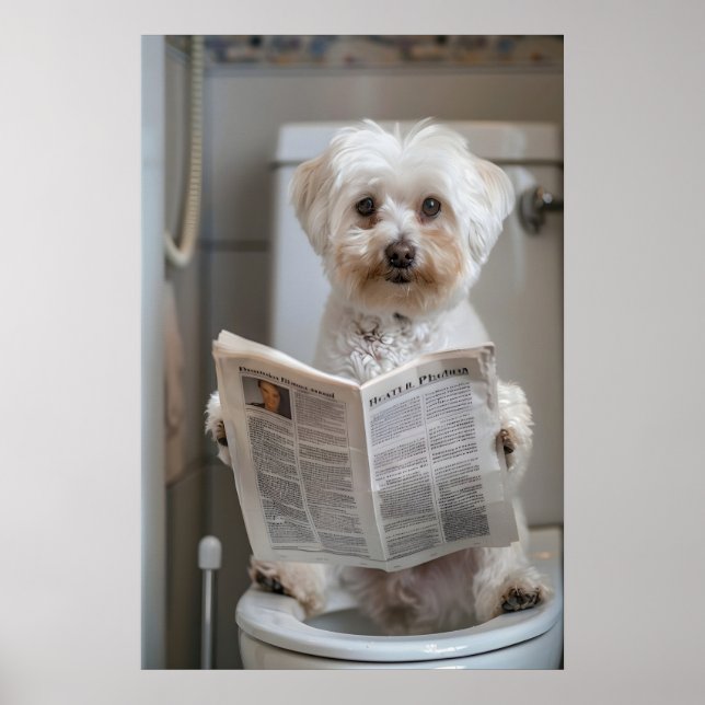 Funny Havanese Dog Print, Bathroom Newspaper Art Poster (Vorne)