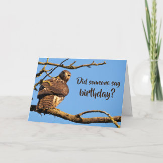 Funny Hawk Nature Foto Geburtstag Karte