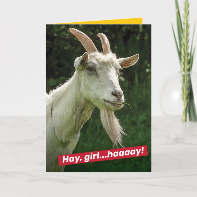Funny Hey Girl, hey Ryan Gosling Goat Spoof Karte (Vorderseite)