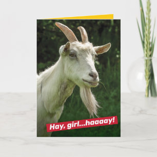 Funny Hey Girl, hey Ryan Gosling Goat Spoof Karte
