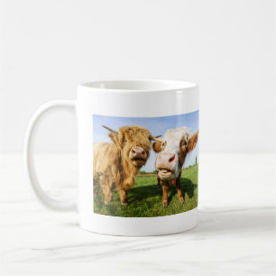 Funny Highland Cows Kaffeetasse