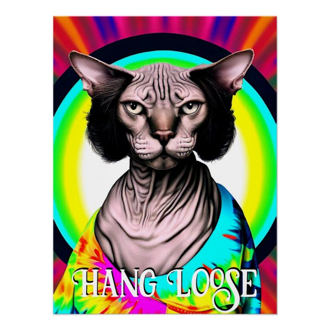 Funny Hippie Sphynx Cat Poster (Vorderseite)