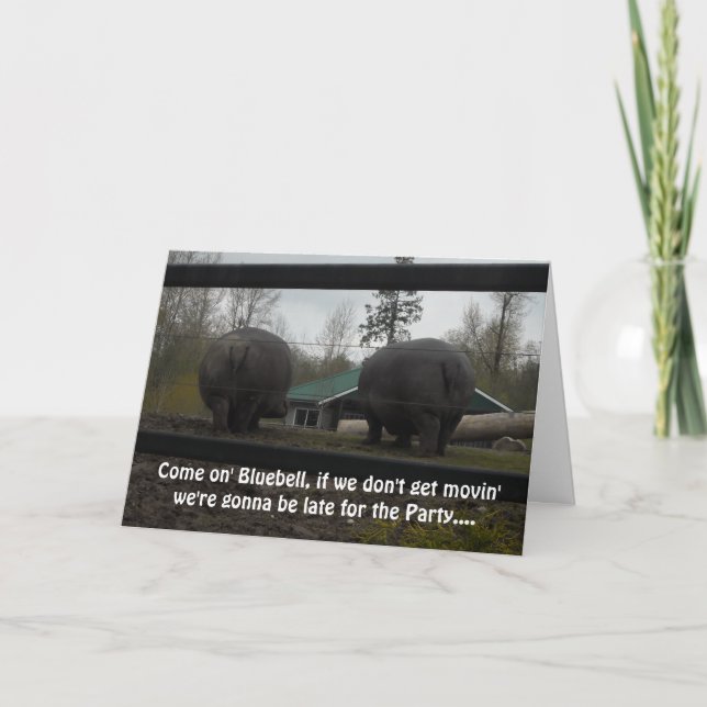 Funny Hippopotamus Geburtstag Gruß Karte (Vorderseite)