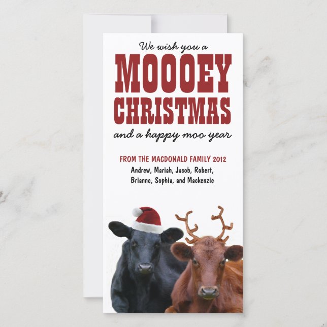 Funny Holiday Cow Couple Mooey Weihnachten (Vorderseite)