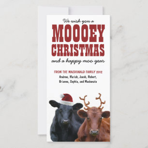 Funny Holiday Cow Couple Mooey Weihnachten