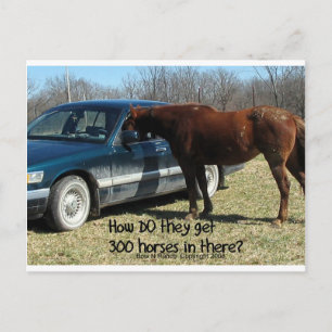 Funny Horse "300 Horse" Postkarte